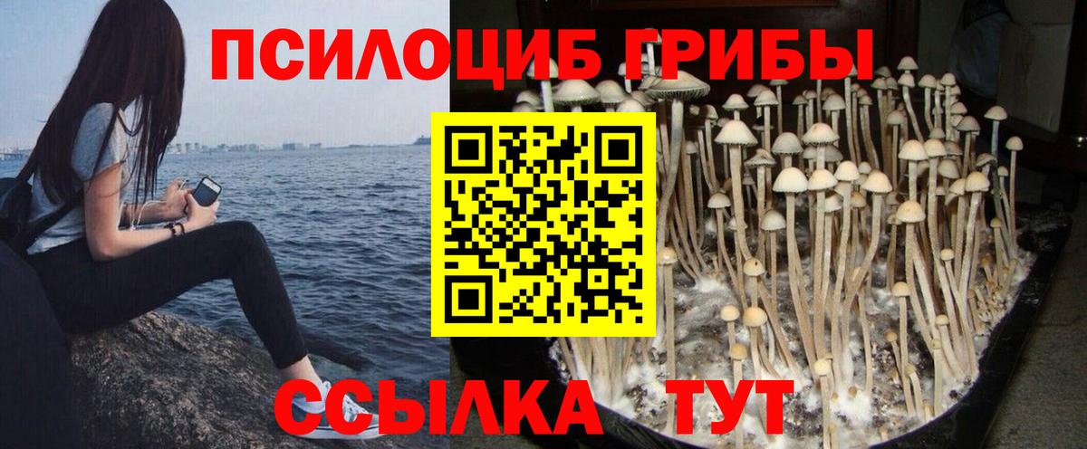 Псилоцибиновые грибы ЛСД  Псилоцибиновые грибы GOLDEN TEACHER  Железногорск  Вход с VPN 